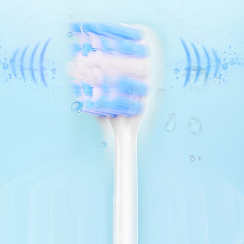 Adult Sonic Electric Toothbrush