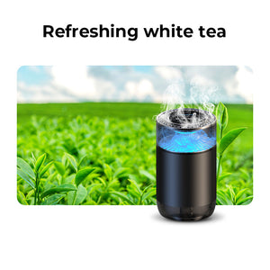 Spray Car Viewing Aromatherapy Diffuser