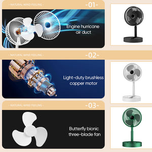 Telescopic Folding Fan