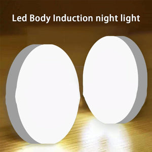 LED Intelligent Human Body Sensor Light