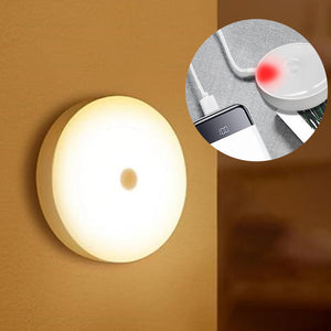 LED Intelligent Human Body Sensor Light