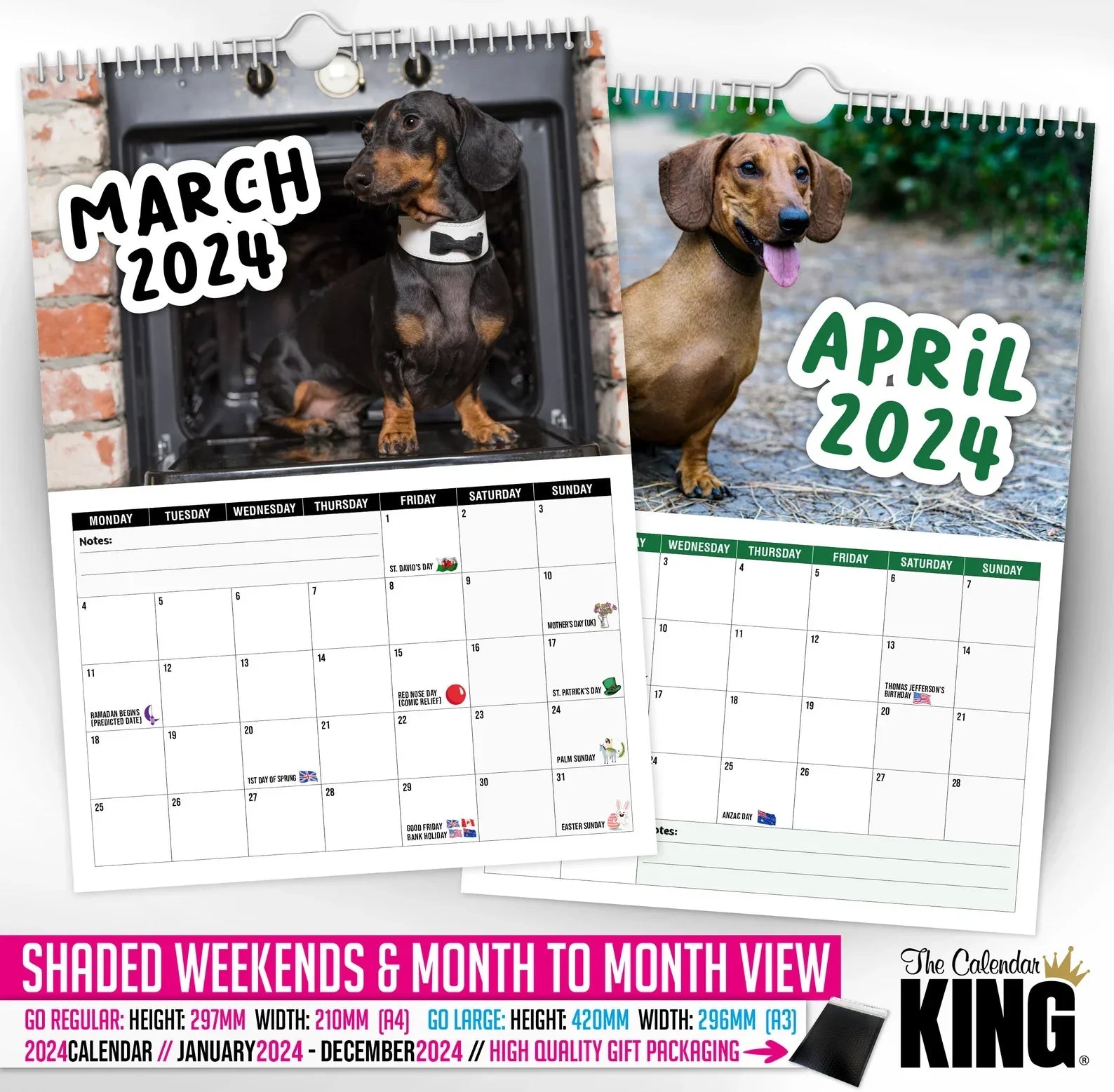 Cheeky Dachshunds 2024 Wall Calendar Ailsion   3 F6ef92a0 79c4 4a1d Ae15 0774535488ce.webp