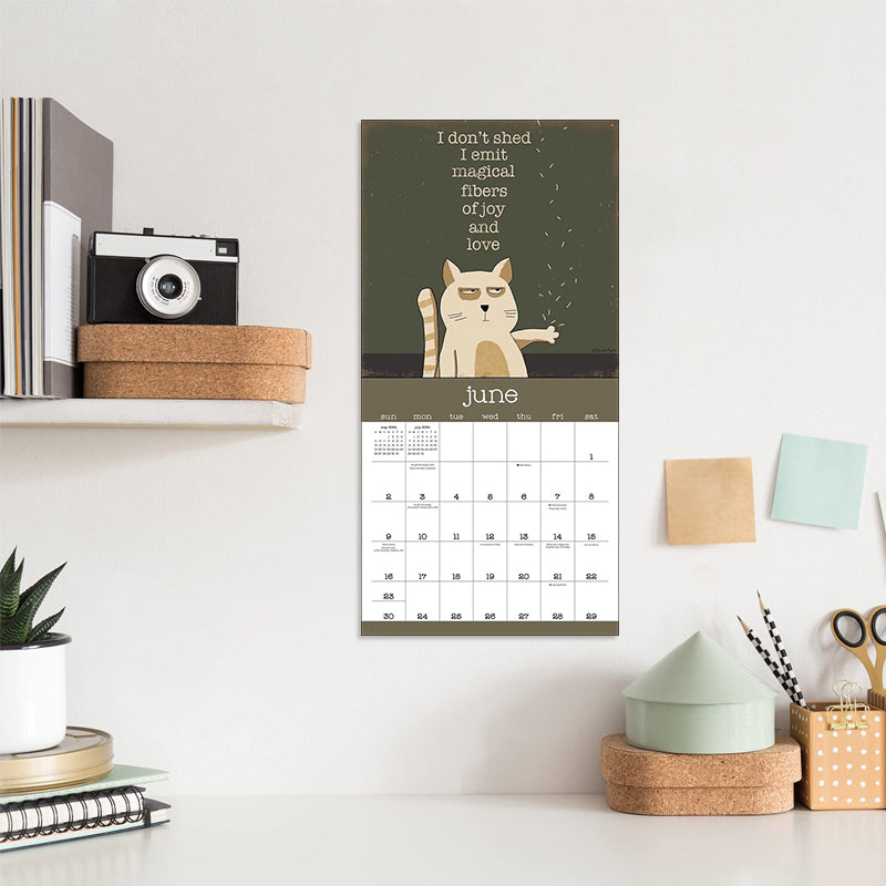 A Year of Snarky Cats 2024 Wall Calendar ailsion